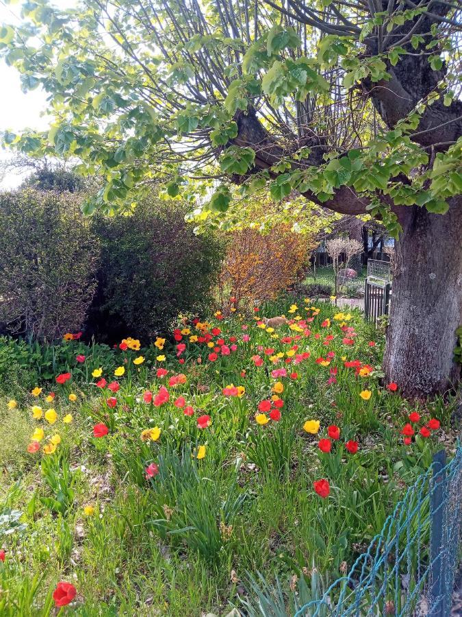 Rosalie Cottage Beaurepaire  ภายนอก รูปภาพ