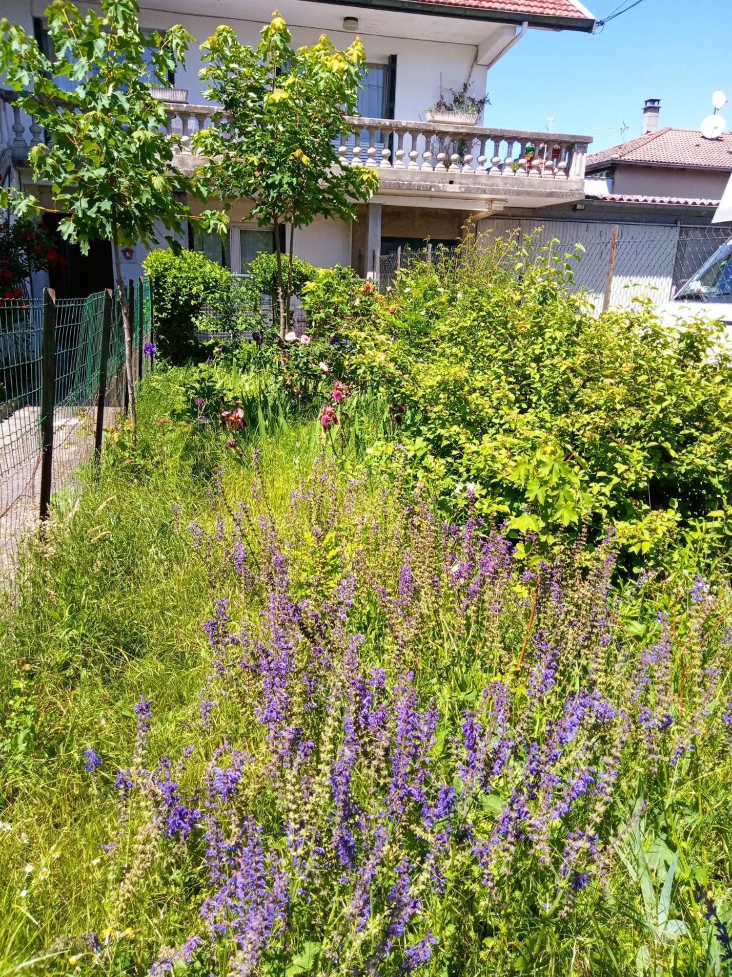 Rosalie Cottage Beaurepaire  ภายนอก รูปภาพ