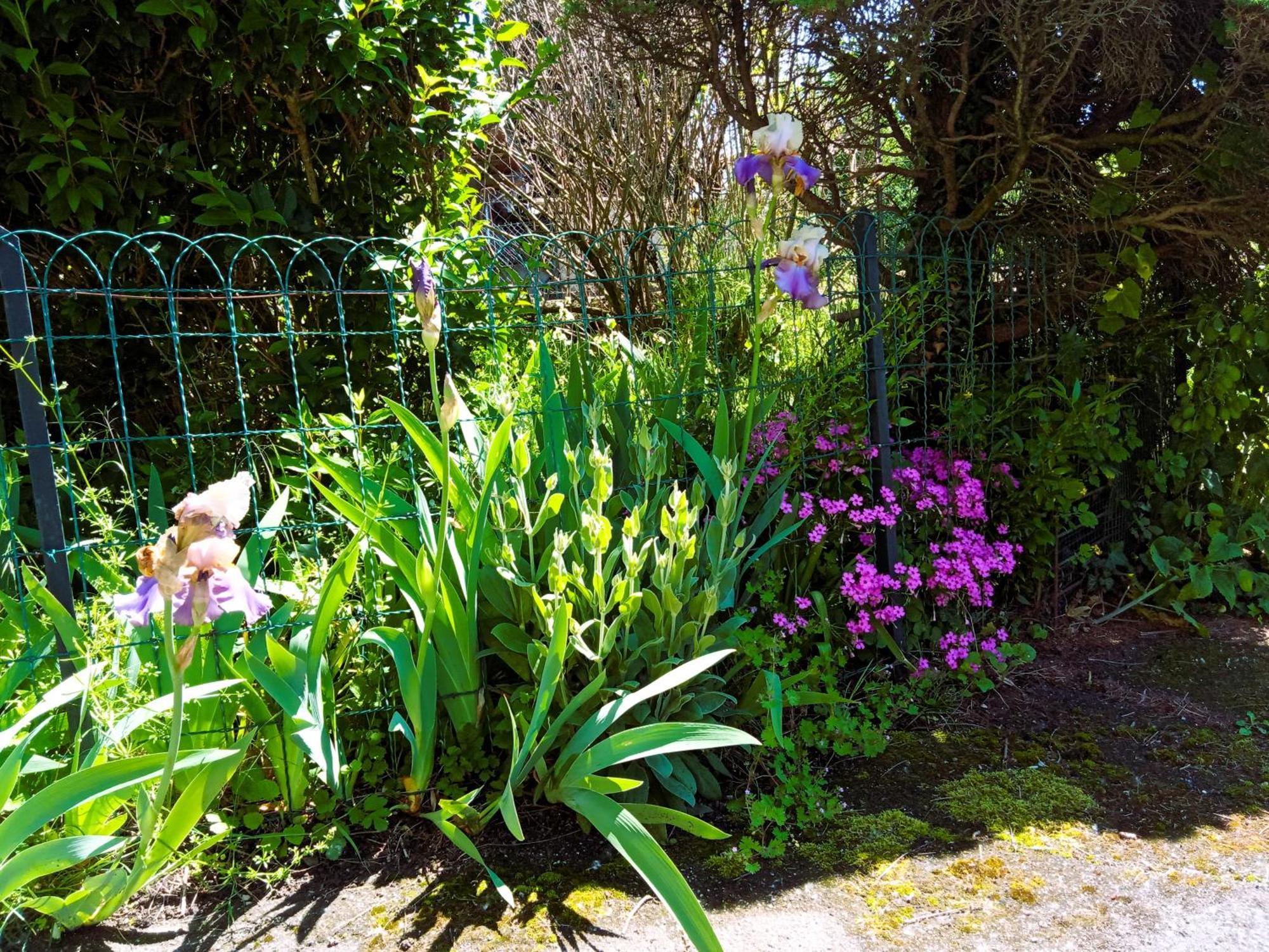 Rosalie Cottage Beaurepaire  ภายนอก รูปภาพ